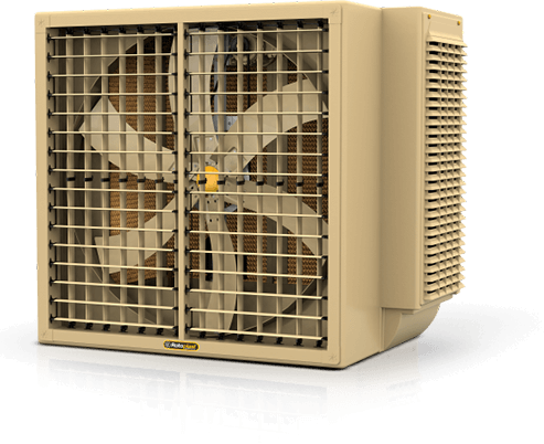 Foto banner principal